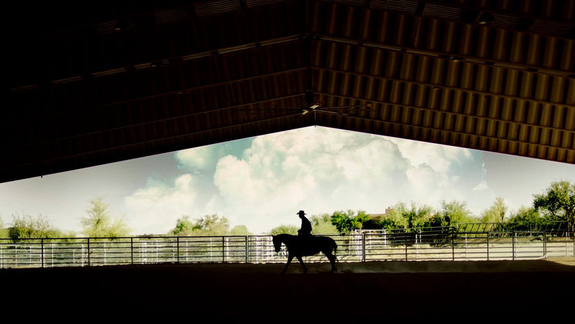 DT Horses // TV Spot